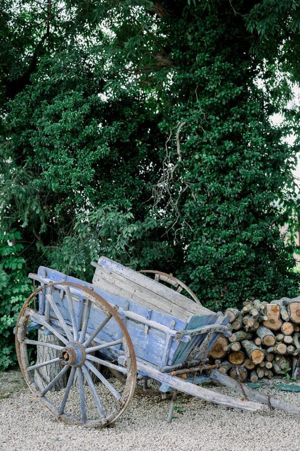 Le Domaine Du Fortin Menerbes Bagian luar foto